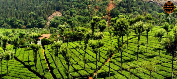 tourist spots in India