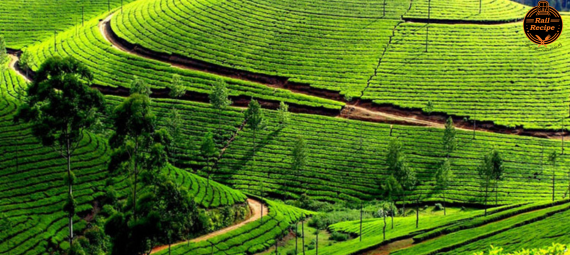 tourist spots in India