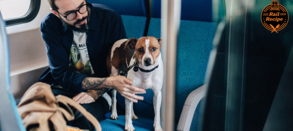 Travel With Dog On Train